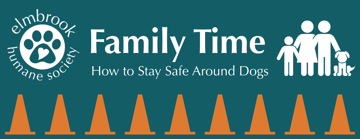Family Time - How to Stay Safe Around Dogs